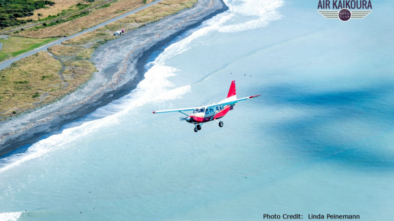 To appreciate the beauty and contrasts of Kaikoura, there is nothing better than seeing it from the air. Experience for yourself the stunning beauty of a place where mountains meet the sea, and marine life abounds.